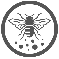 Illustration of a bee with pollen