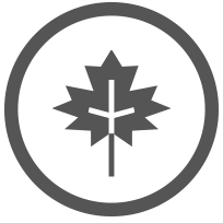 Maple Leaf