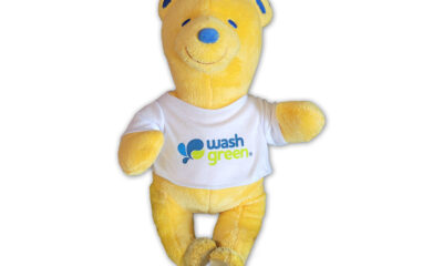 Stuffed Brown Bear